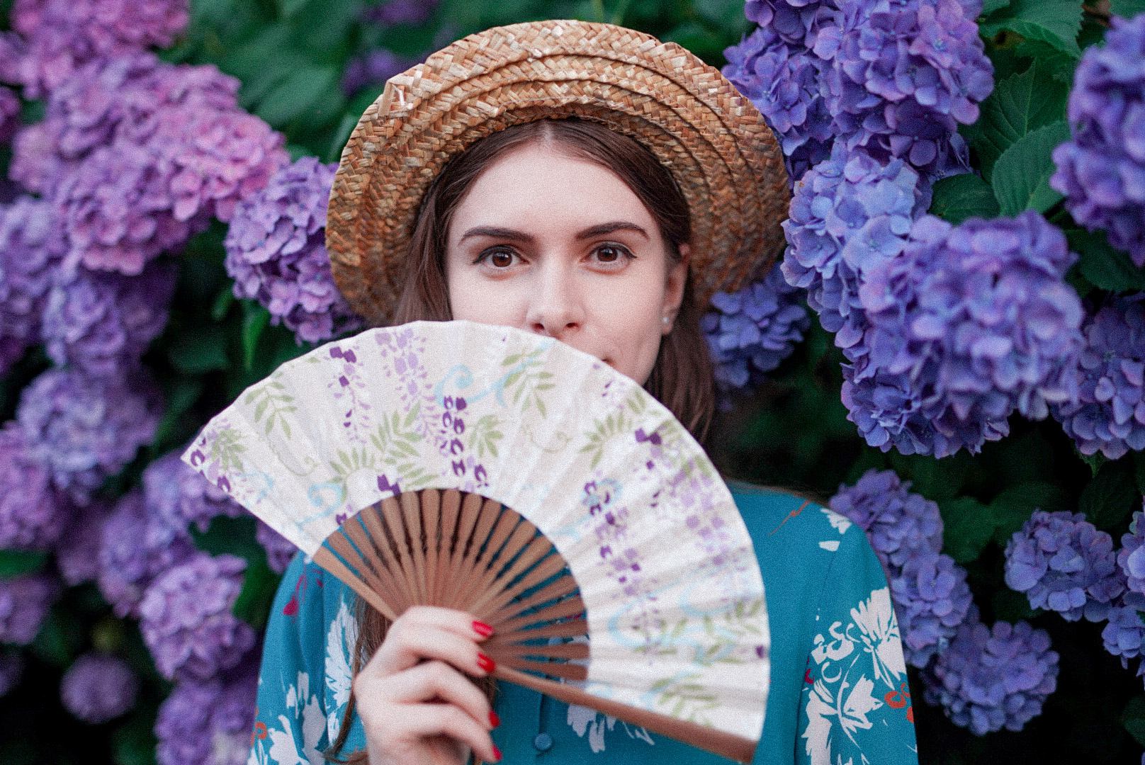 hydrangeas-and-the-rainy-season-ana-around-the-world