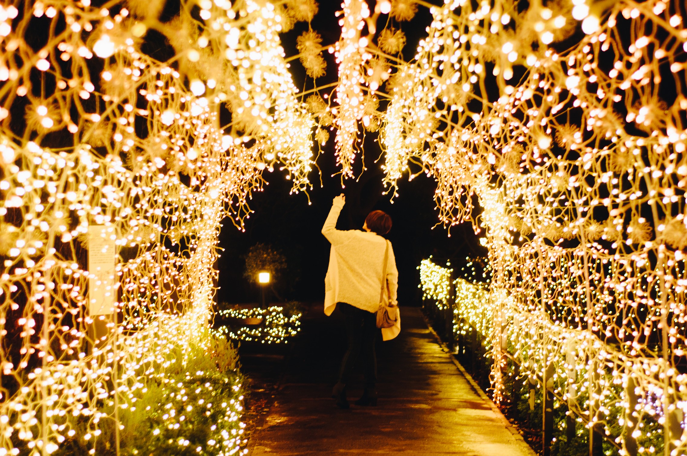 東京と東京の周りのクリスマス雰囲気 Ana Around The World